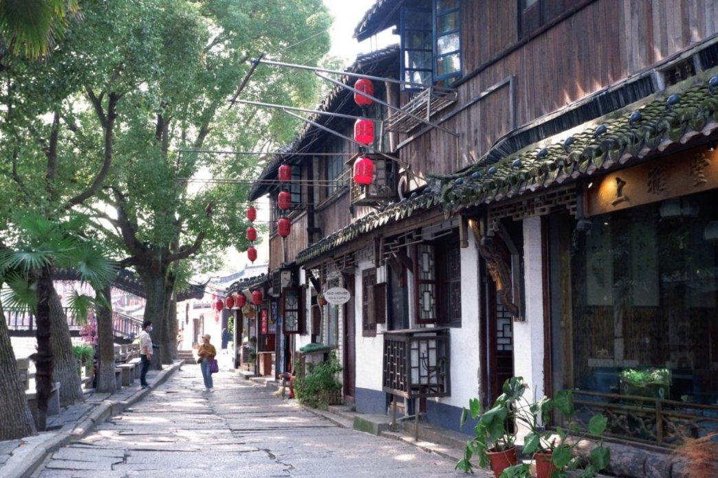 【医学小常识】解密中医养生之道:免疫力的奥秘